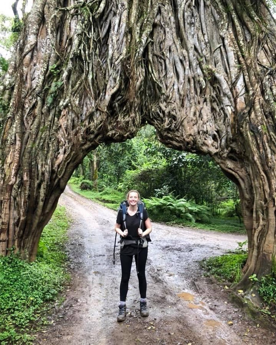 Historic Move to Protect Forests Main Image